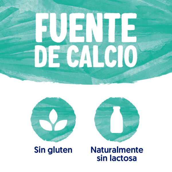 Bebida de Coco Barista Alpro 1 Litro