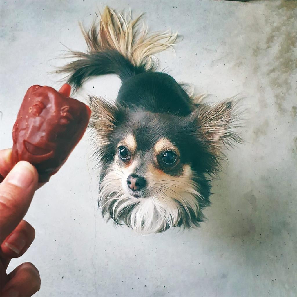 Garden Bites Veggie Friends Snack para perros S 18 uds Duvo