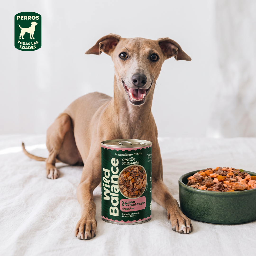 Boîte de saumon et de veau BARF pour chiens Wild Balance 400 g