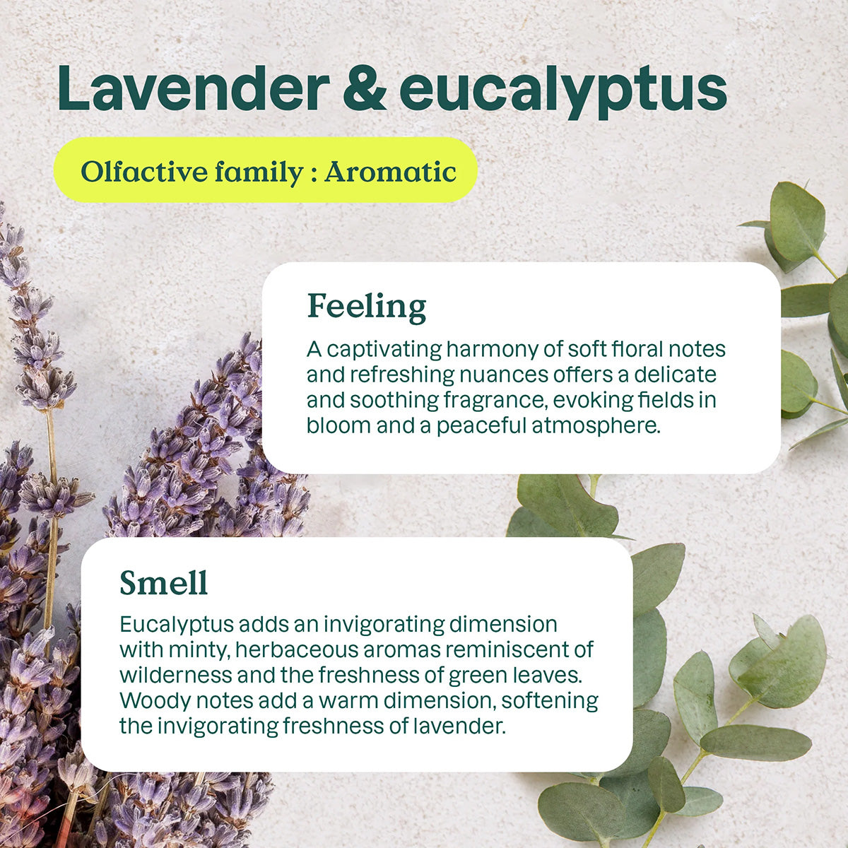Purificador natural Eucalipto y Lavanda Attitude 227 g