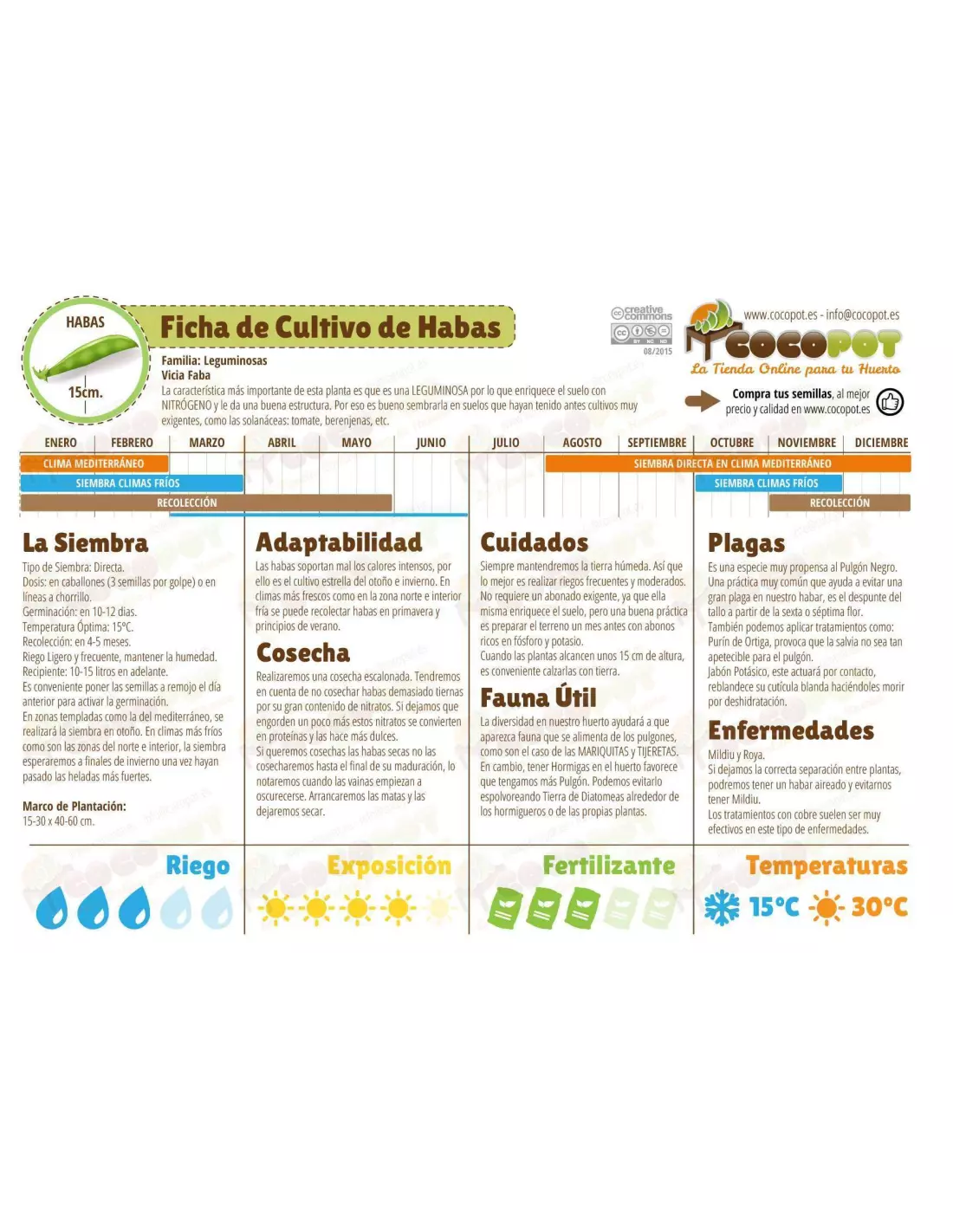 Graines de fèves douces sélectionnées Acualonga 100 g Batlle
