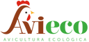 Avieco