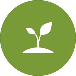 PlantaBo