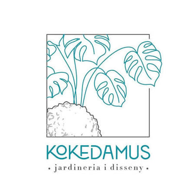 Kokedamus