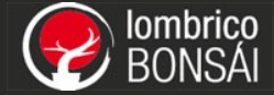 Lombric Bonsaï