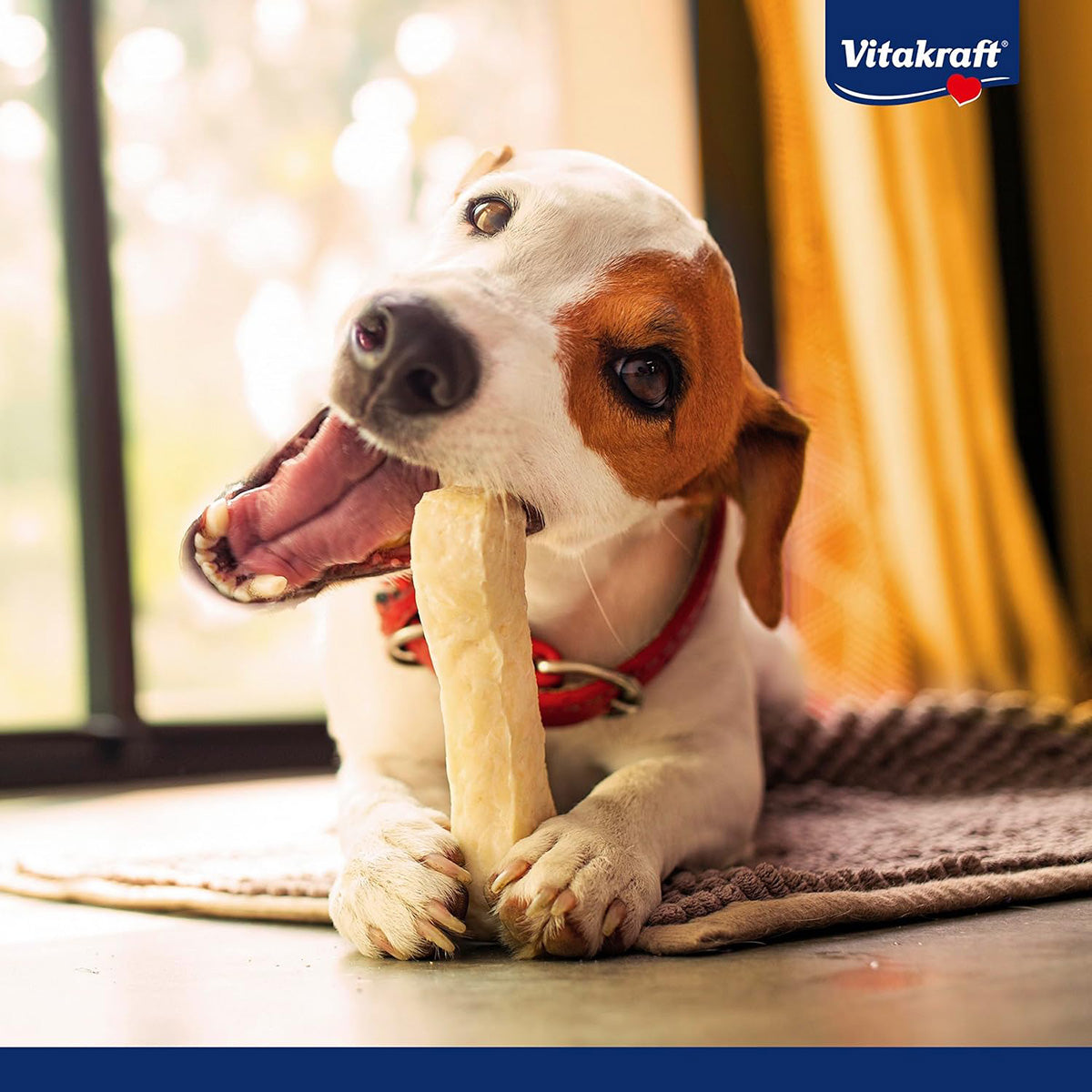 Chews intensos de hueso para perro 14cm 1 pieza Vitakraft