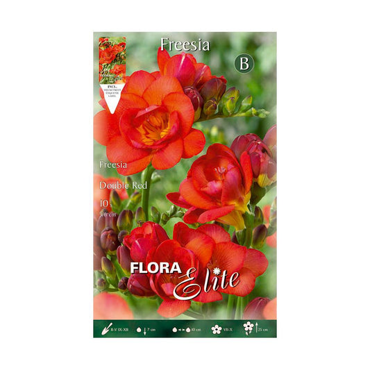 Bulbos Freesia doble naranja 10 uds