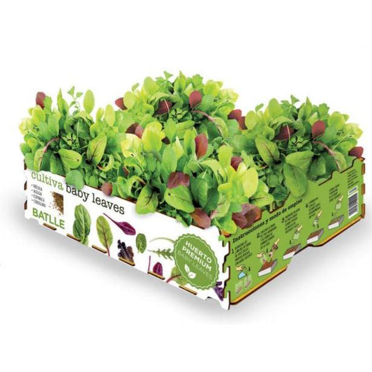 Huerto Premium Baby Leaves gourmet Batlle