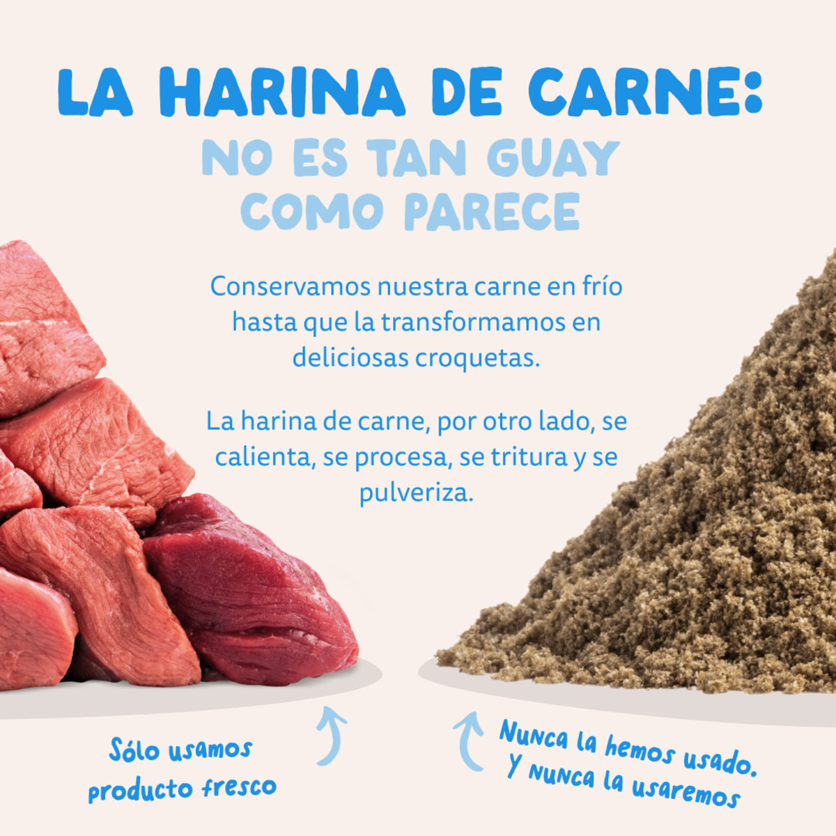 Croquettes pour chiens au saumon norvégien Edgard & Cooper 1 kg