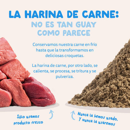 Croquettes pour chiens au saumon norvégien Edgard &amp; Cooper 1 kg
