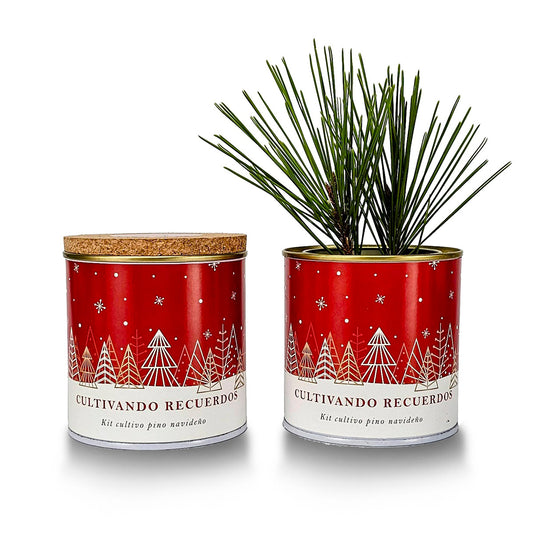 Kit cultivo Planta tu Propio Pino Navideño, Regalo Ideal Garden Pocket