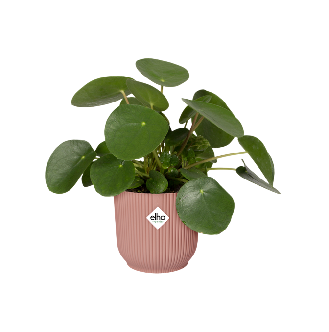 Macetero vibes fold round delicate pink Elho 25 cm
