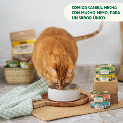Pack 6x Cazuela de pollo para gatos 80 g + Regalo: Tapa reutilizable para latas, Wild Balance