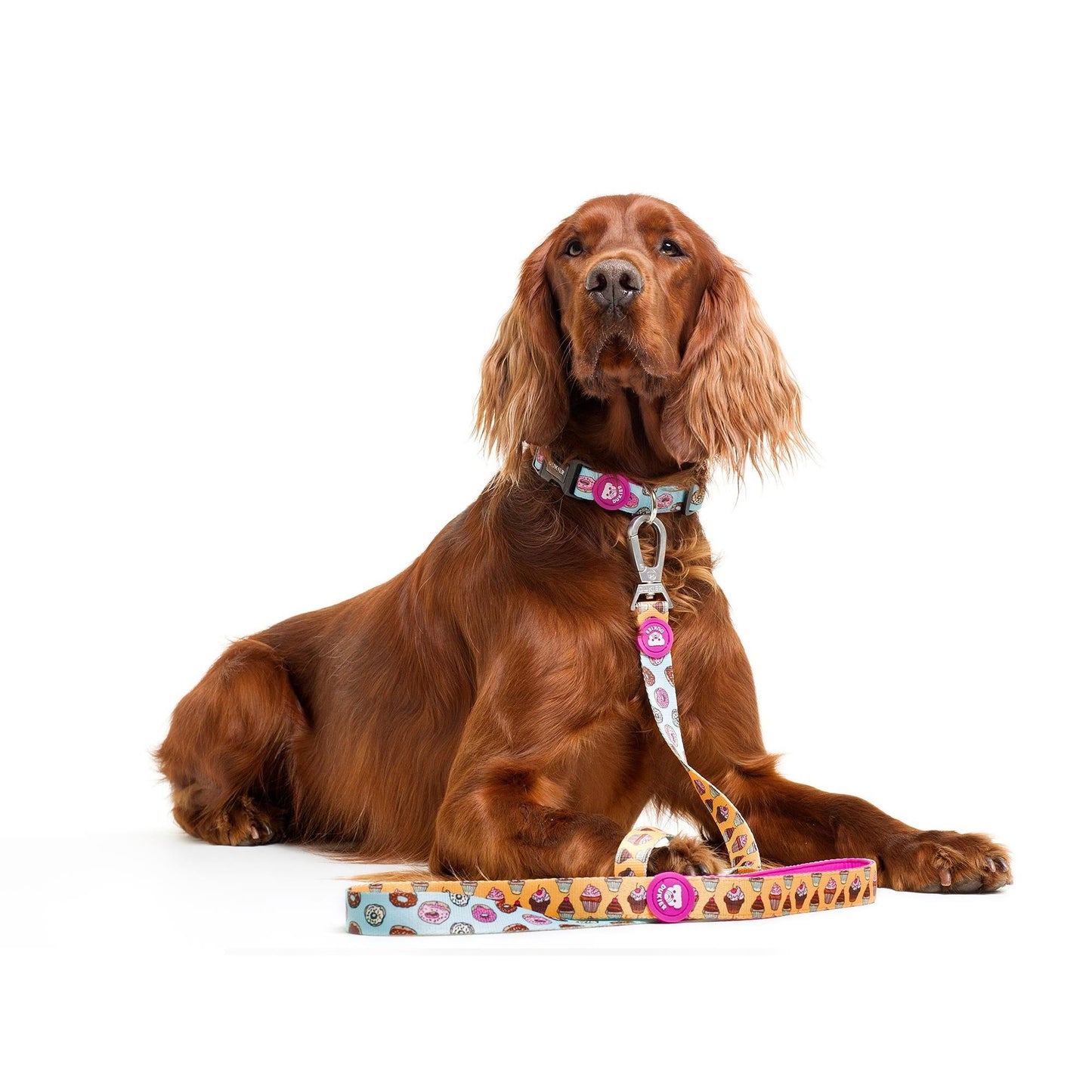 Collar para perro CUPCAKES Dukier - Talla XS XS