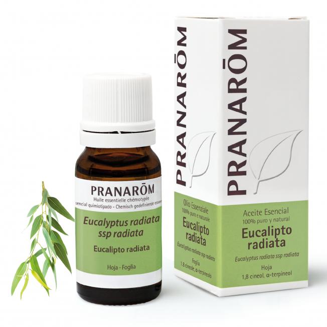 Aceite Esencial Eucalipto Radiata BIO Pranaróm 10 ml