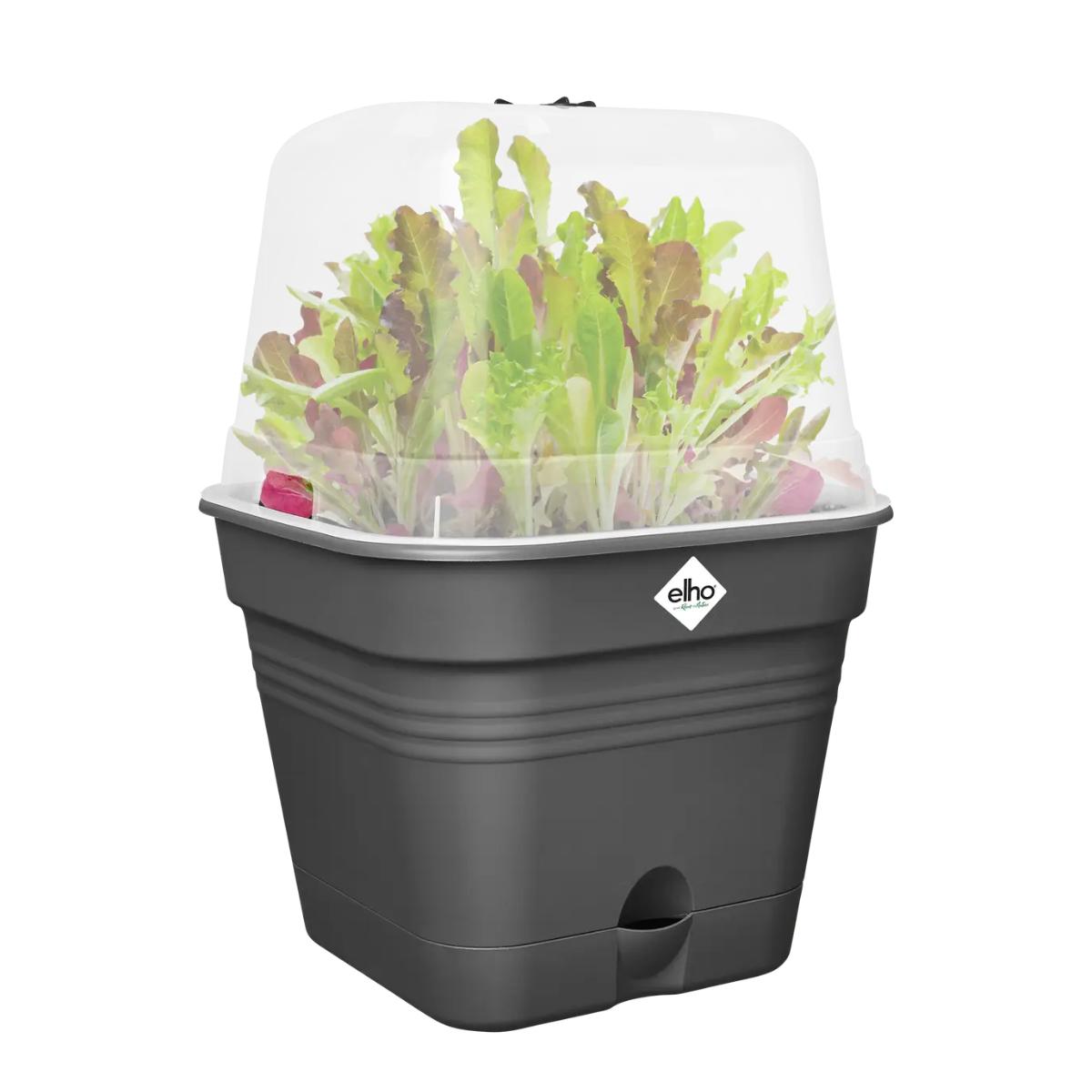 Maceta de cultivo ALLIN1 Green Basics Elho Antracita 15 cm