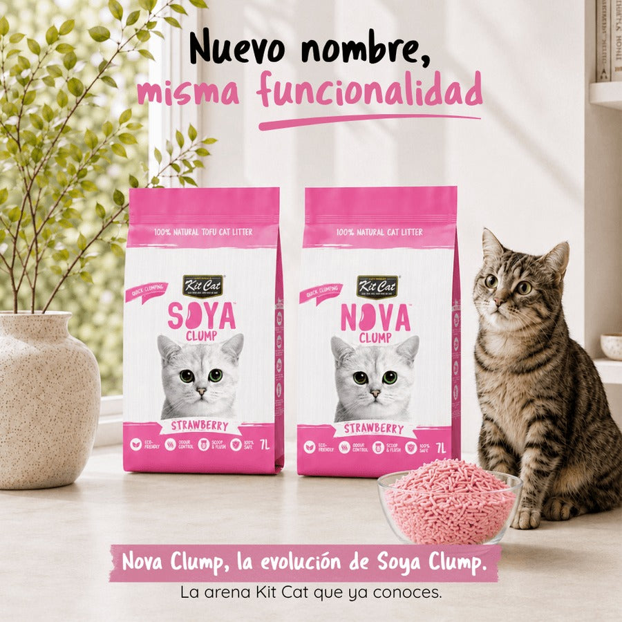 Pack 2x Kit Cat Litière Eco SoyaClump Pack Économique - Fraise 7 L Litière pour chats