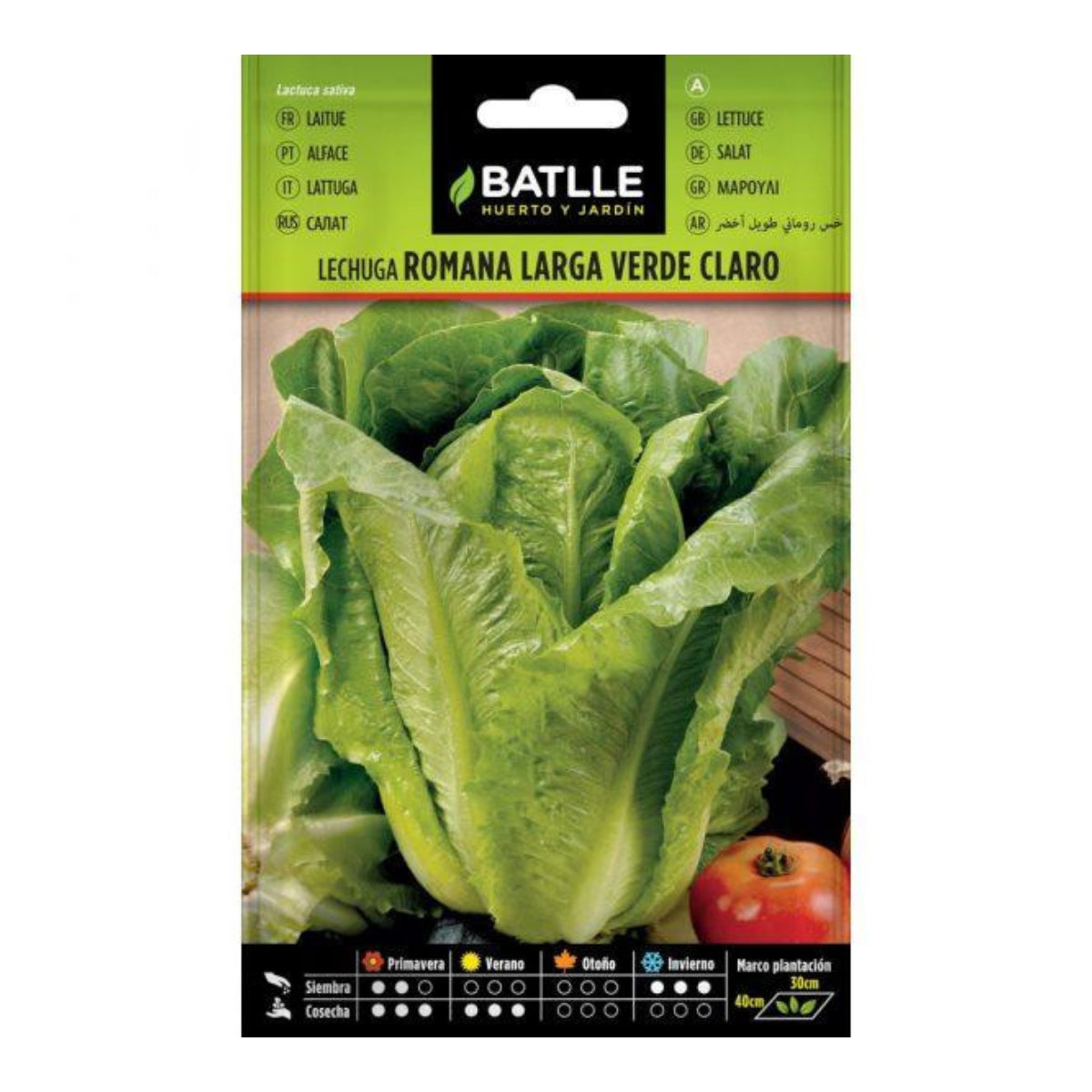 Semillas de Lechuga Romana Larga Verde Claro Batlle