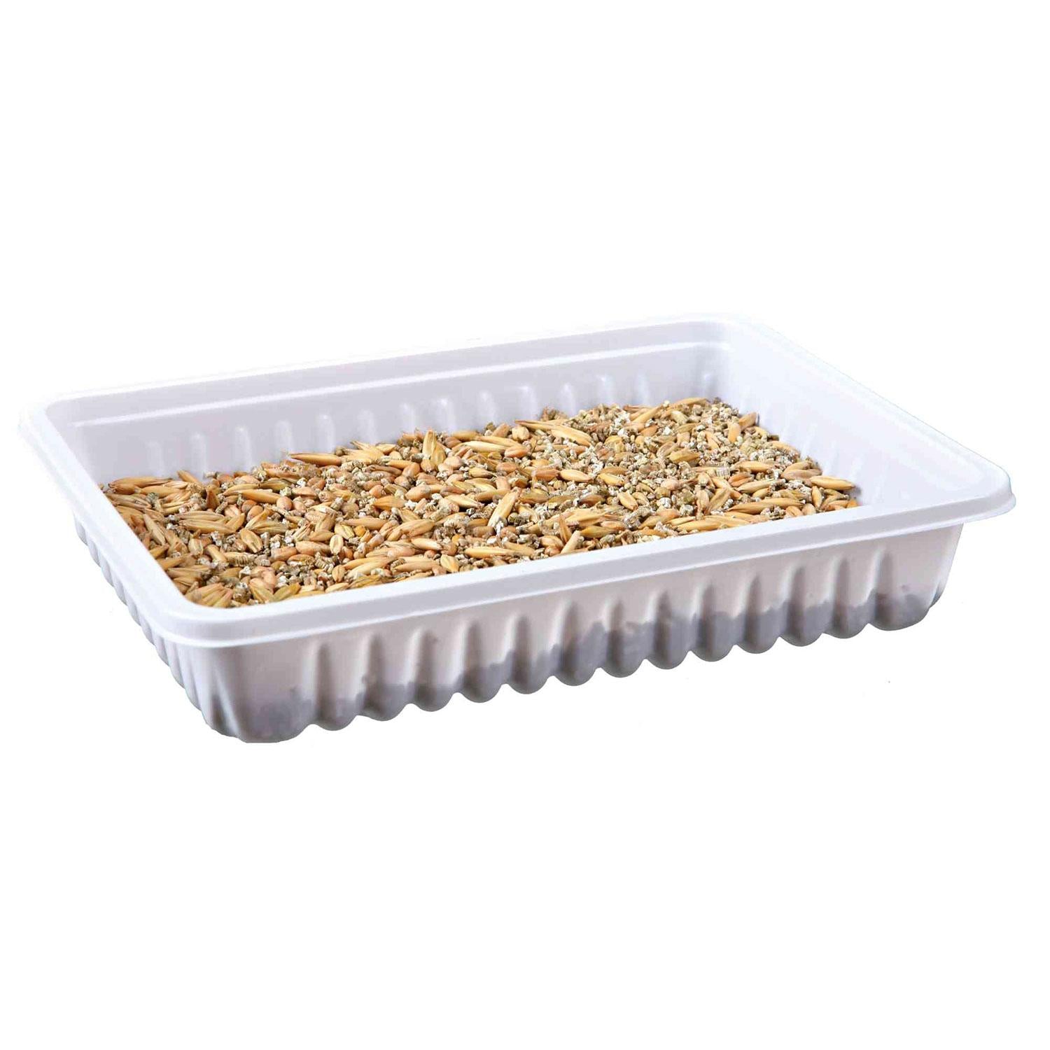Trixie Bandeja de hierba para roedores 100 g