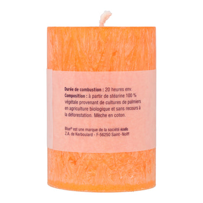 Bougies stéarine petites couleurs assorties 56 x 80 mm 174 g Bleu 6 unités