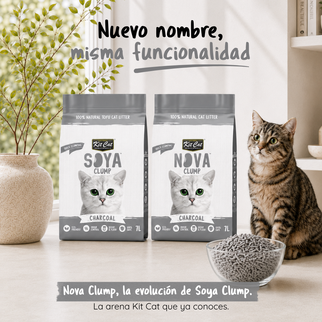 Kit Cat Arena Eco SoyaClump - Charcoal 7 L Litière pour chat