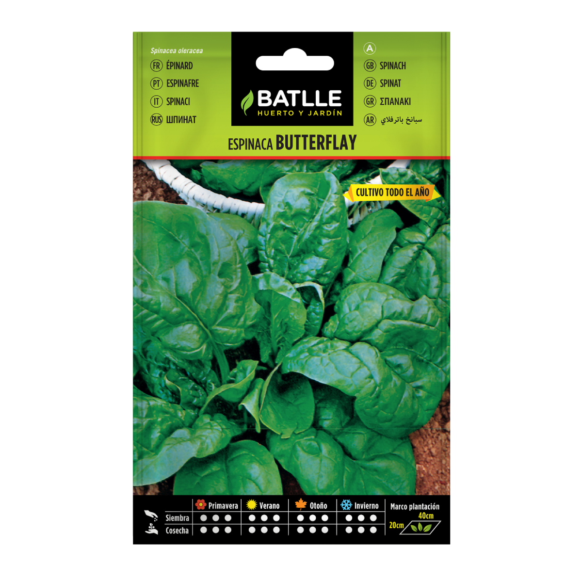 Semillas de Espinaca Butterflay Batlle