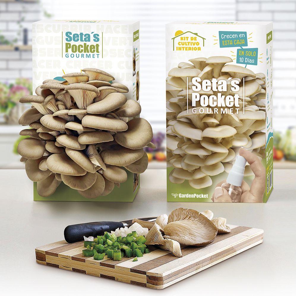 Kit para Plantar Setas Pocket Gourmet en Casa, Ideal Regalo Garden Pocket
