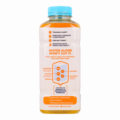Boisson Naturelle Électrolyte Orange Pet The Gutsy Captain 600 ml