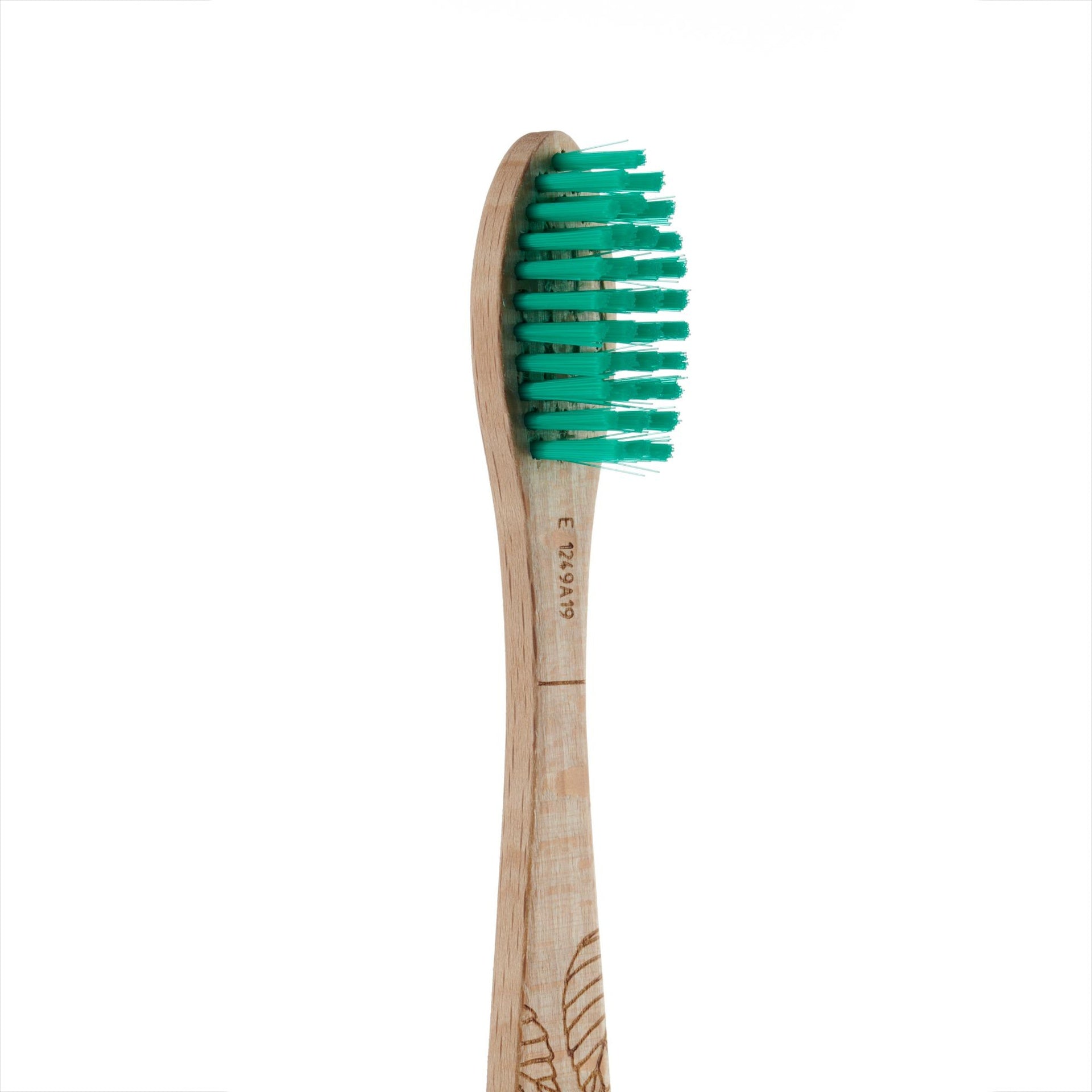 Cepillo de Dientes de haya Medio Georganics