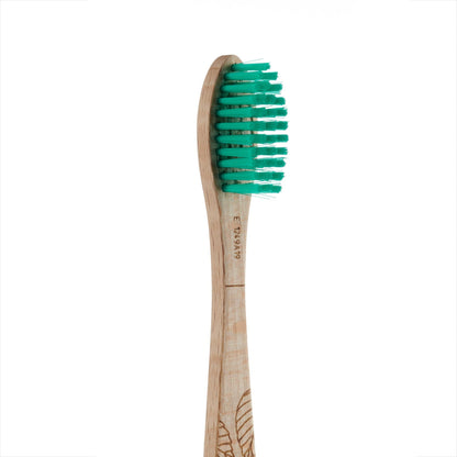Cepillo de Dientes de haya Medio Georganics