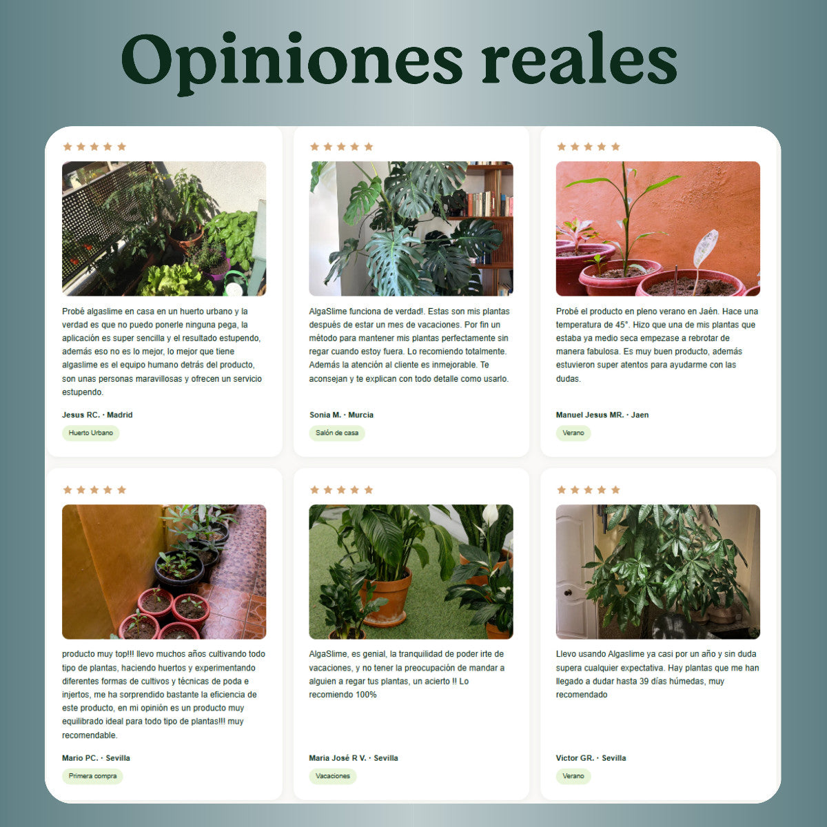 Gel de Riego para Plantas con Microalgas Vivas AlgaSlime 1l