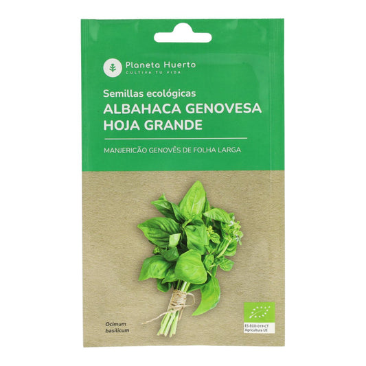 Semillas de Albahaca Genovesa ecológicas Planeta Huerto