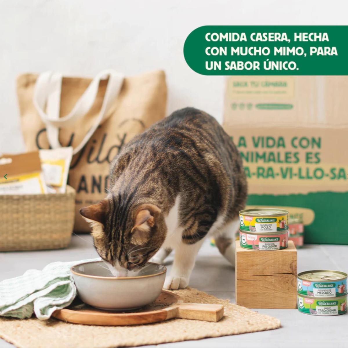 Pack 6x Estofado de mercado con pavo y ternera para gatos 80 g + Regalo: Tapa reutilizable para latas, Wild Balance