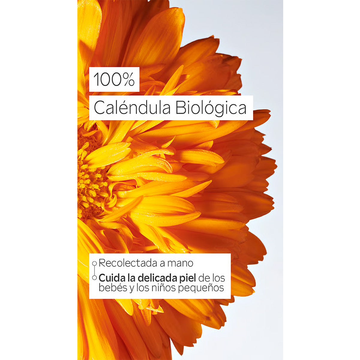 Crema facial Bebés de Caléndula Weleda, 50ml