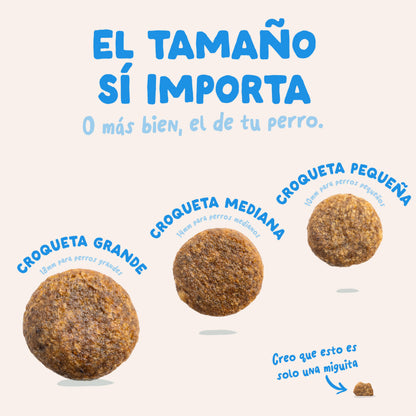 Croquettes pour chiens au saumon norvégien Edgard &amp; Cooper 1 kg