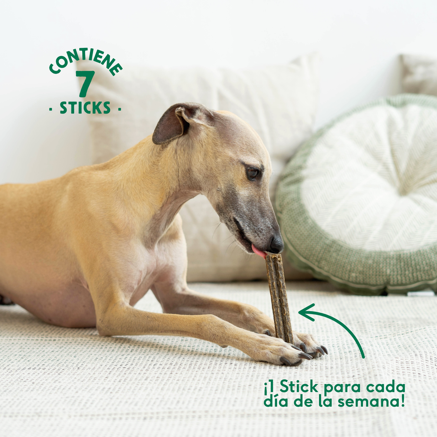 Stick dental Fuera Placa Wild Balance 7 ud.