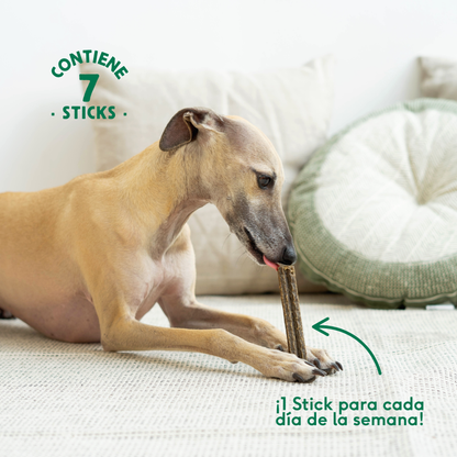 Stick dental Fuera Placa Wild Balance 7 ud.