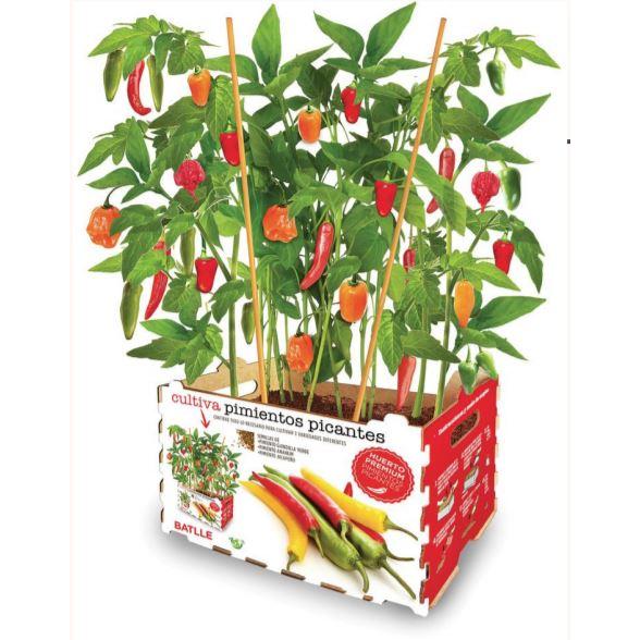 Huerto Premium Pimientos Picantes Batlle