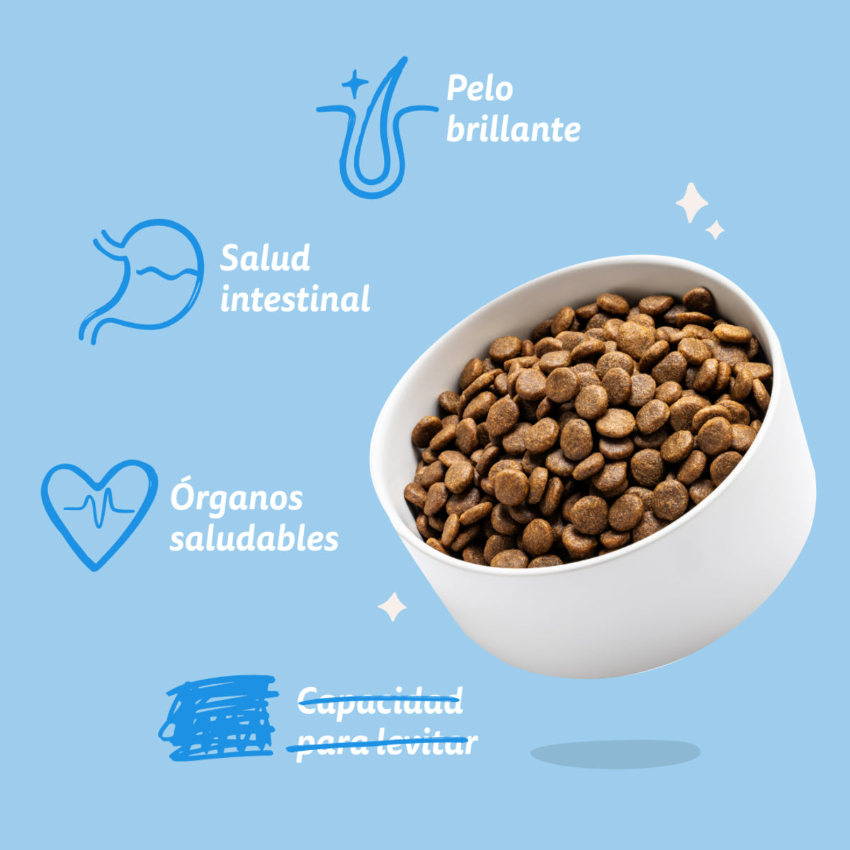 Croquettes pour chiens au saumon norvégien Edgard & Cooper 1 kg
