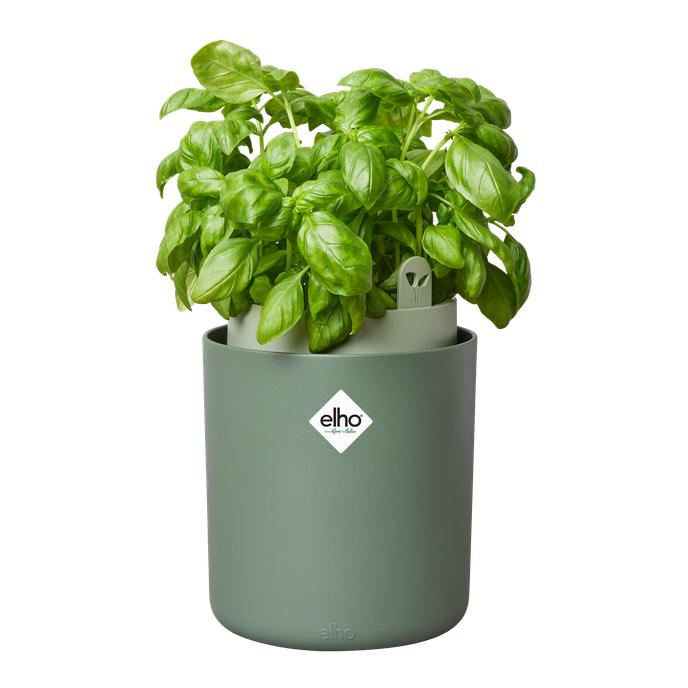 Maceta autoriego aromáticas Bouncy Basil Elho Verde