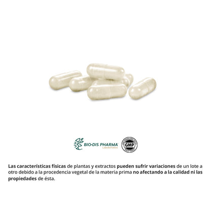 Ginseng et Gelée Royale 600 mg Obire 60 gélules