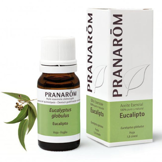 Aceite esencial Eucalipto globulus Pranarom 10 ml
