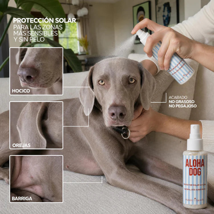 Écran solaire pour chiens SPF 30 Masco Beauty 100 ml