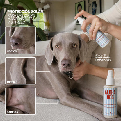 Écran solaire pour chiens SPF 30 Masco Beauty 100 ml