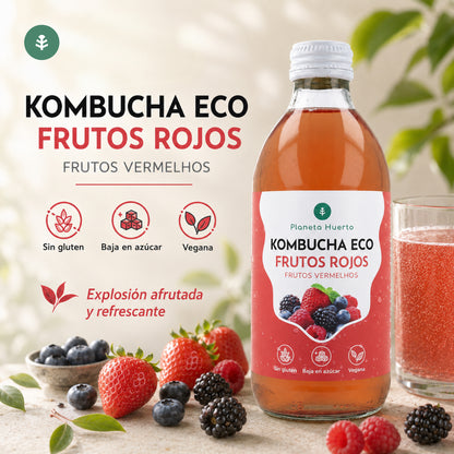 Kombucha ECO Fruits rouges Planet Orchard 330 ml