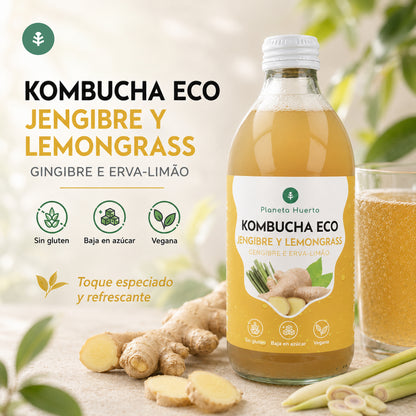 Kombucha ECO Gingembre et citronnelle Planeta Huerto 330 ml