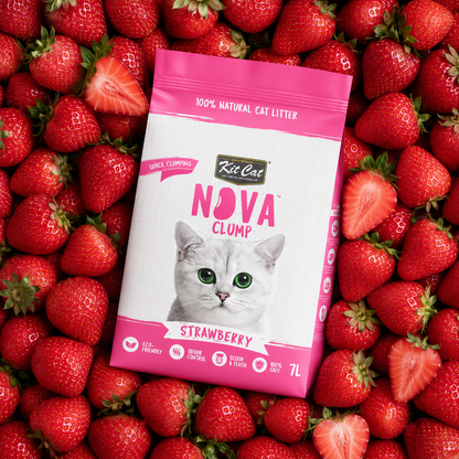Kit Cat Arena Eco SoyaClump - Strawberry 7 L Litière pour chat