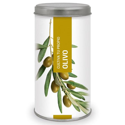 Cultiva tu propio Olivo