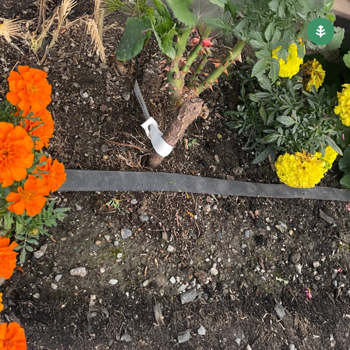 Tubería de Riego por Exudación en Rollo Agro Planeta Huerto 50 m