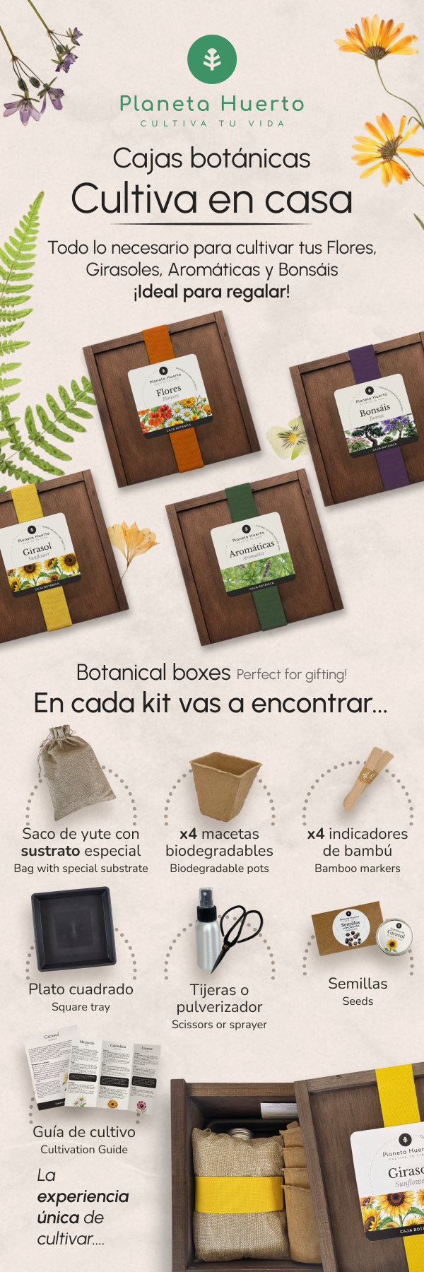 Kit de Cultivo de Girasol en Caja de Madera – Regalo Original Planeta Huerto